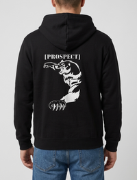 Prospect Series