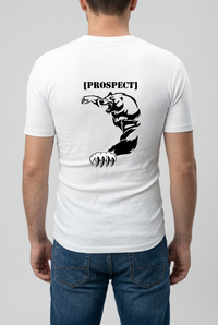 Prospect Series