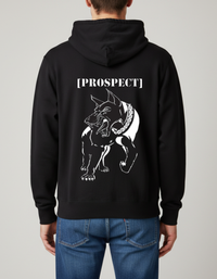 Prospect Series
