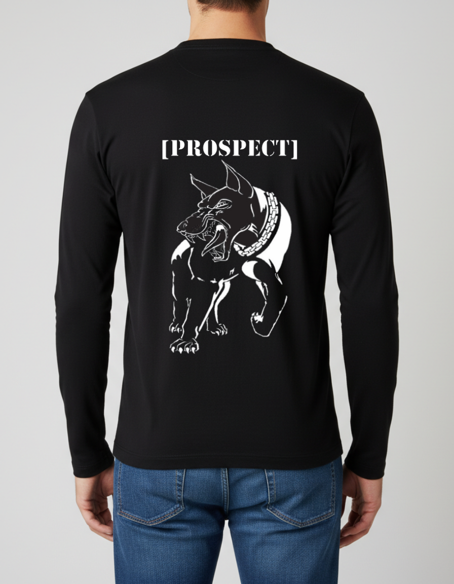 Prospect Series