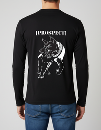Prospect Series