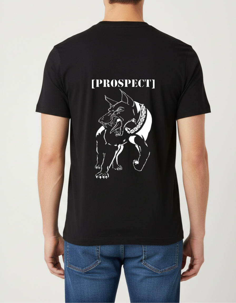 Prospect Series