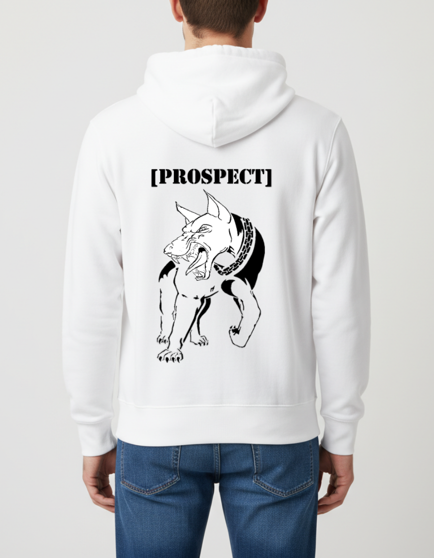 Prospect Series