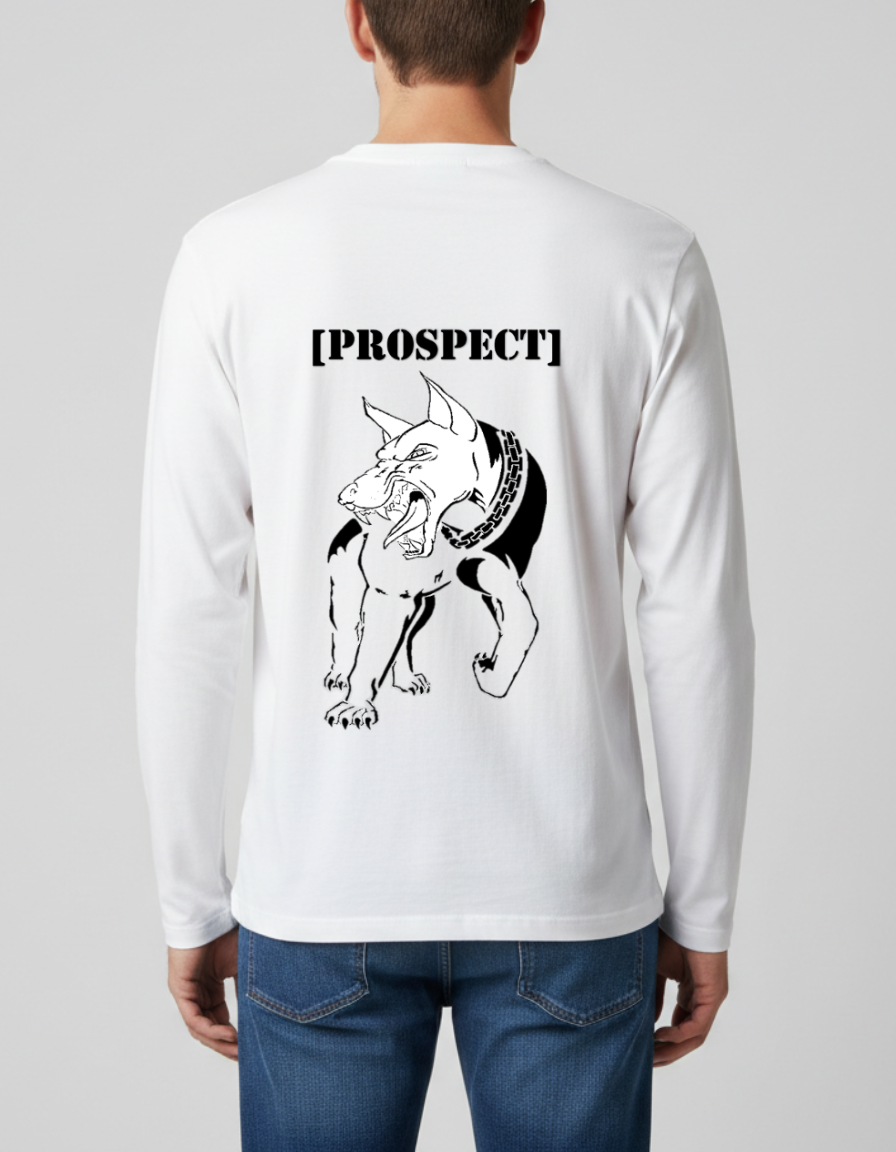 Prospect Series