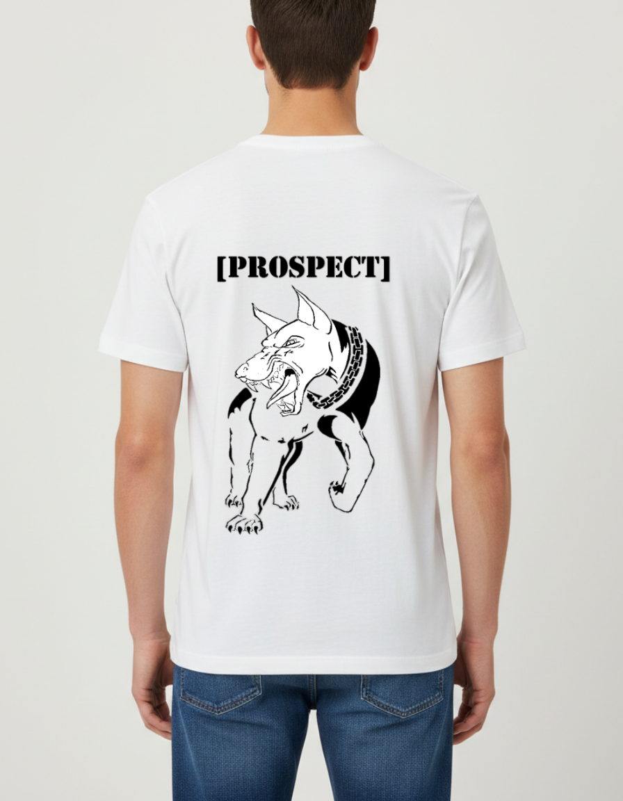 Prospect Series