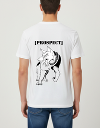 Prospect Series