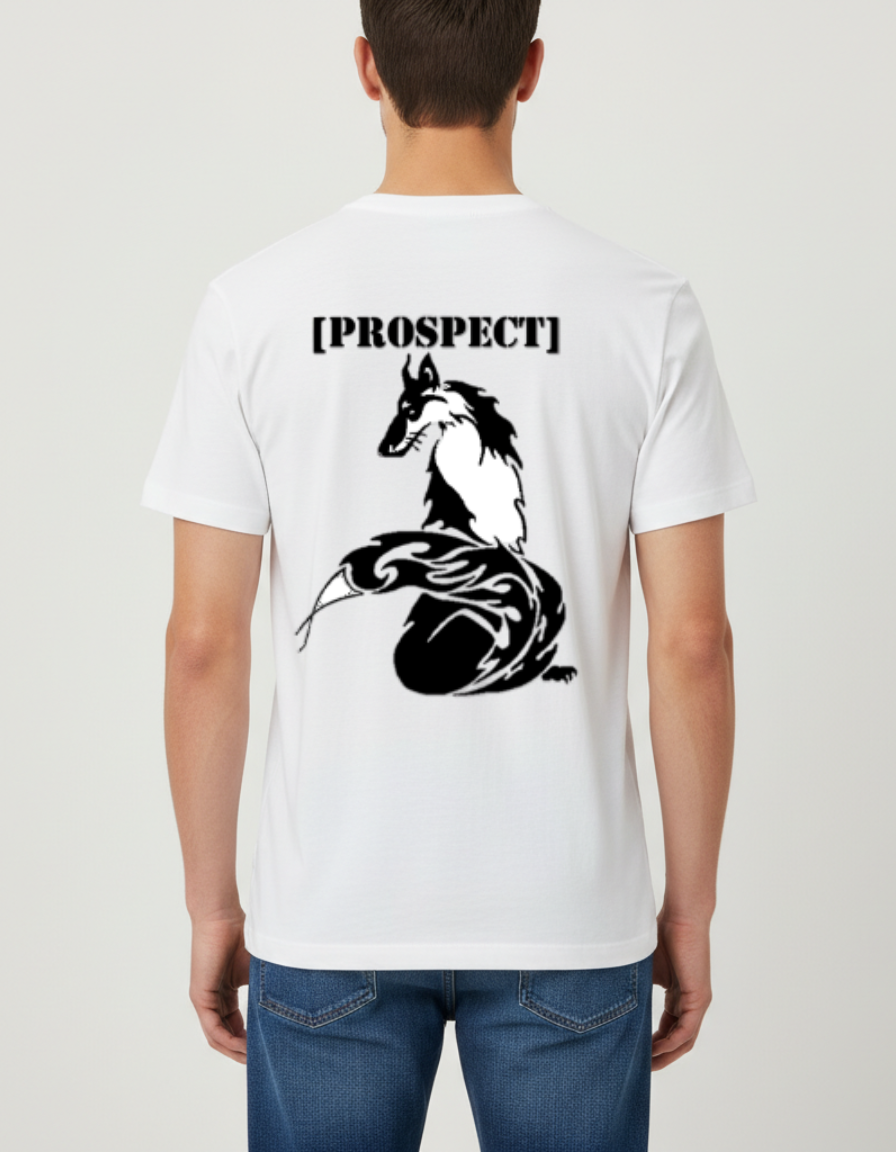Prospect Series