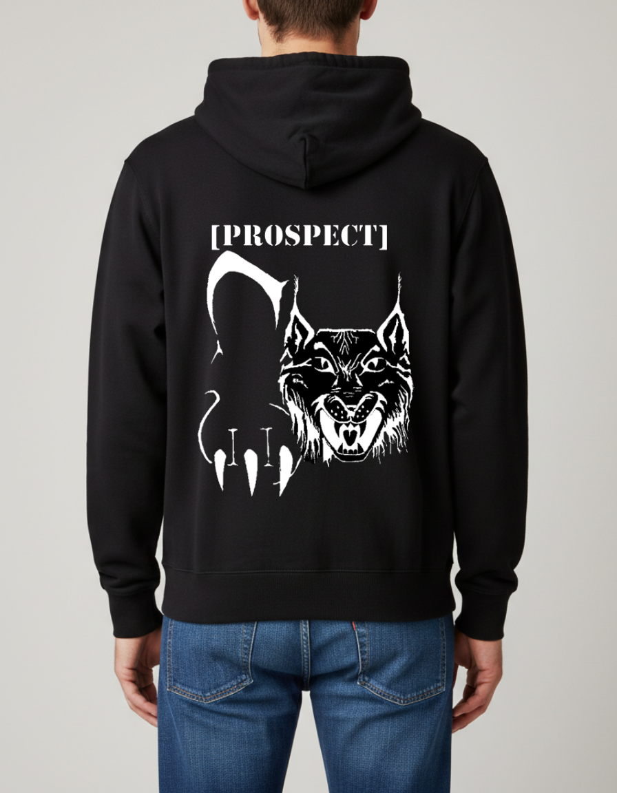 Prospect Series