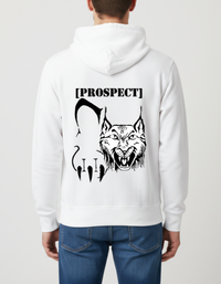 Prospect Series