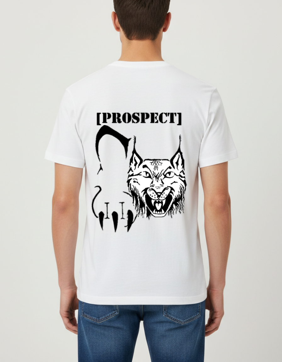 Prospect Series