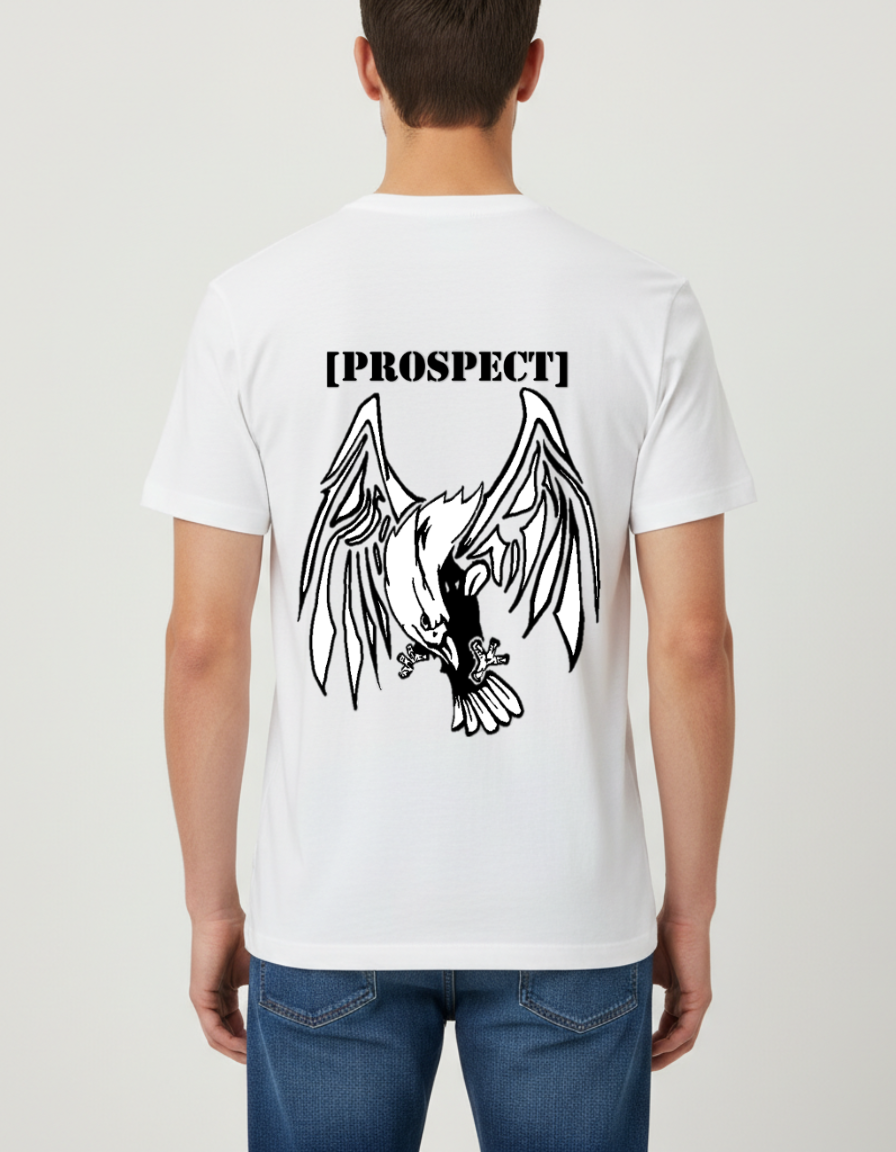 Prospect Series