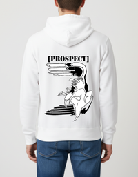 Prospect Series