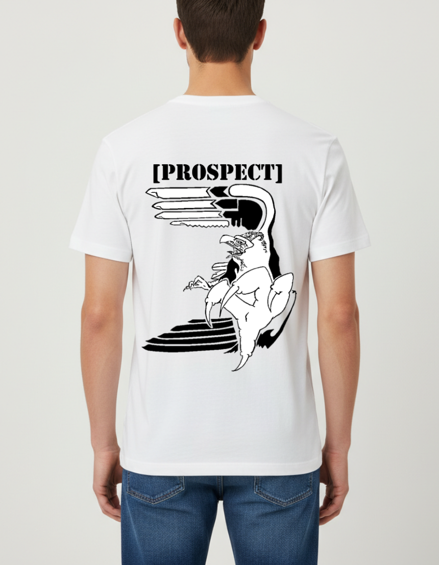 Prospect Series