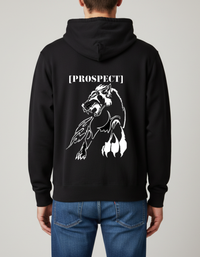 Prospect Series