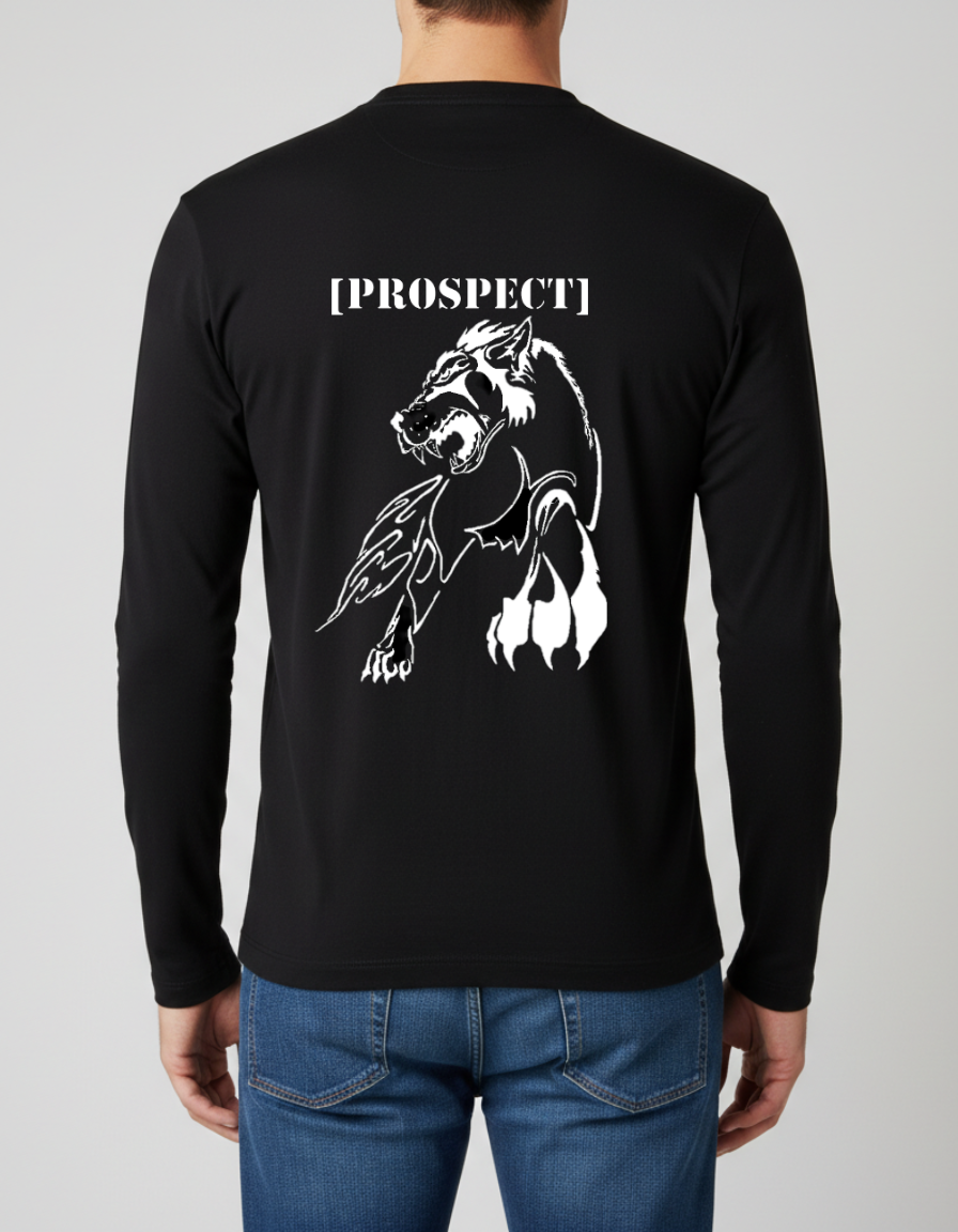 Prospect Series