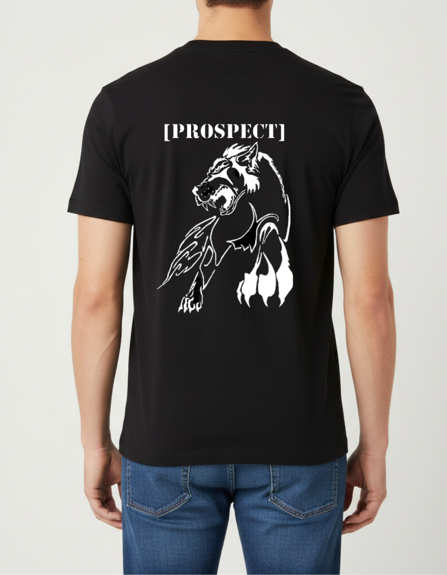 Prospect Series