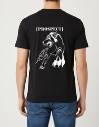 Prospect Series