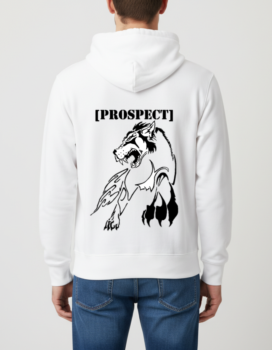 Prospect Series