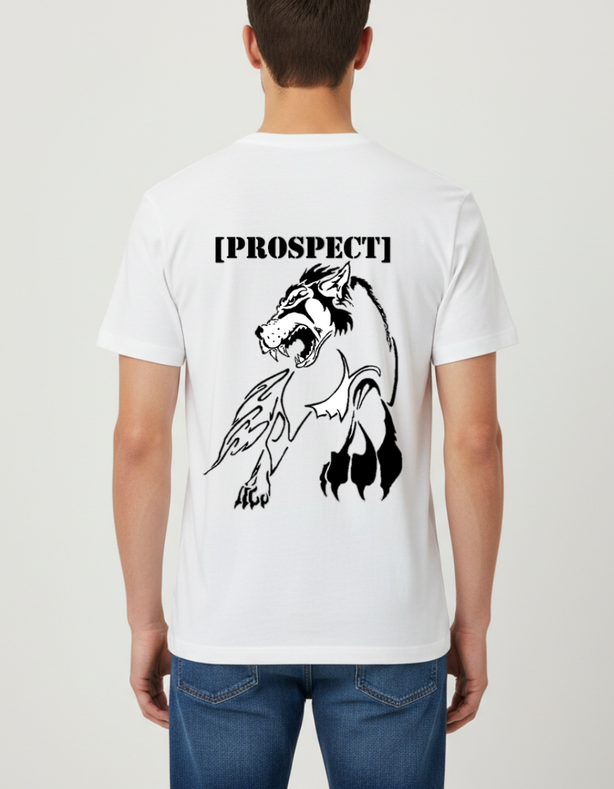 Prospect Series