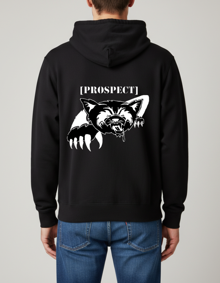Prospect Series