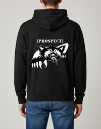 Prospect Series