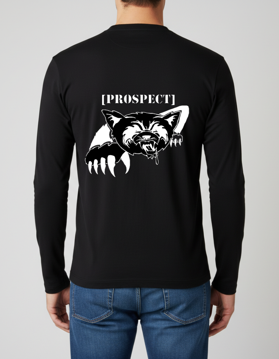 Prospect Series