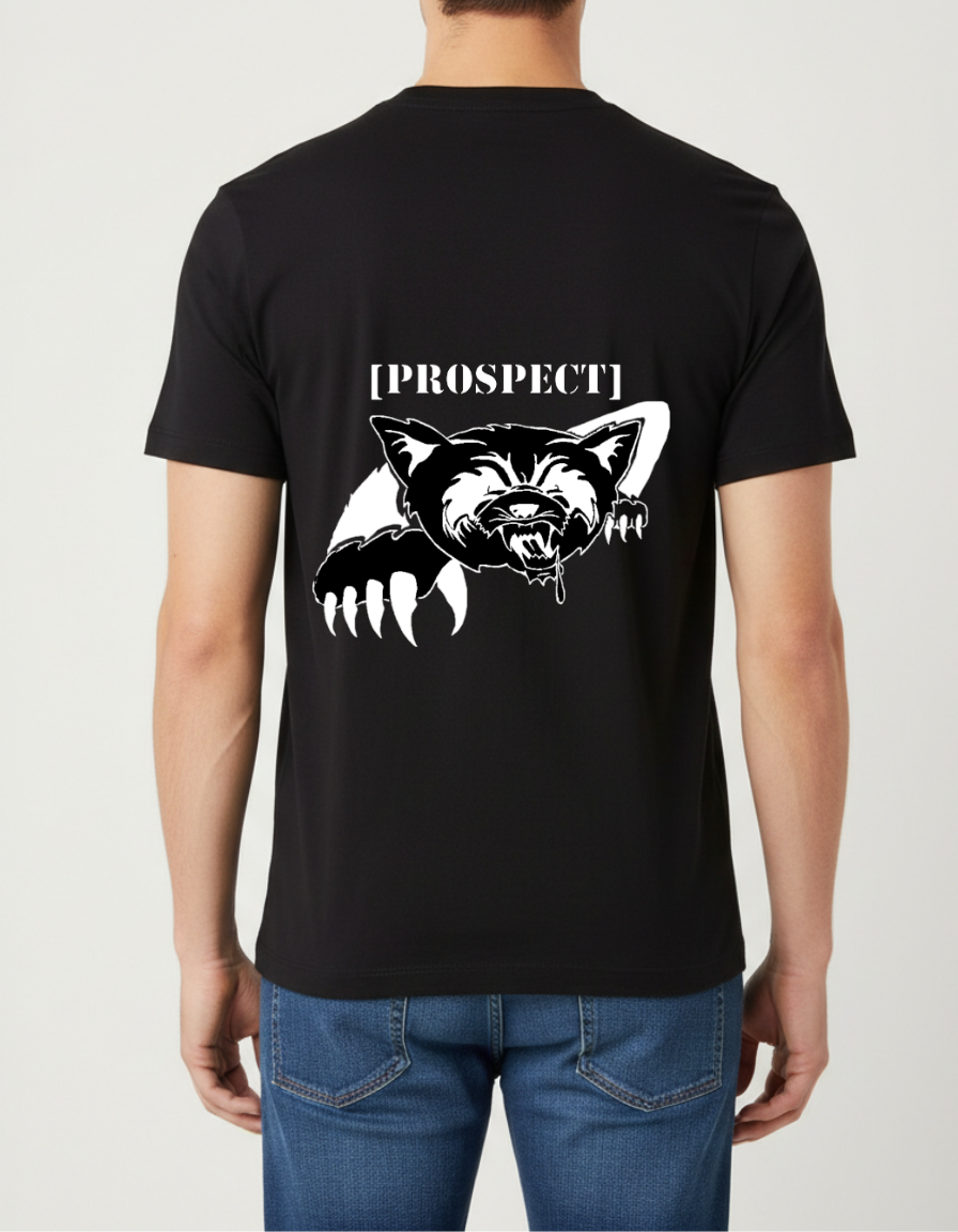Prospect Series