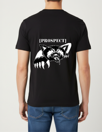 Prospect Series